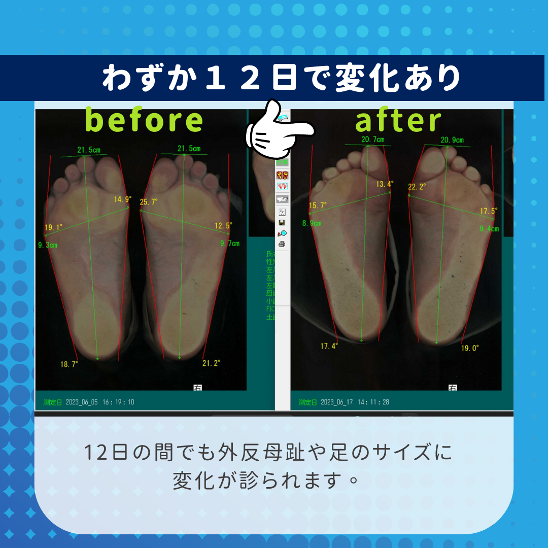 1163202307211832260.png