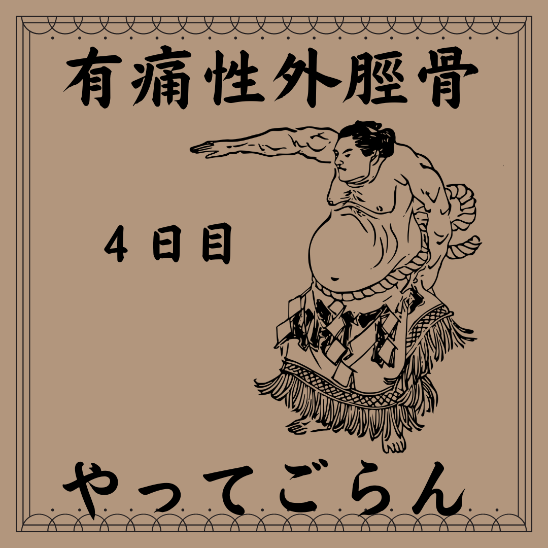 1163202308030949030.png