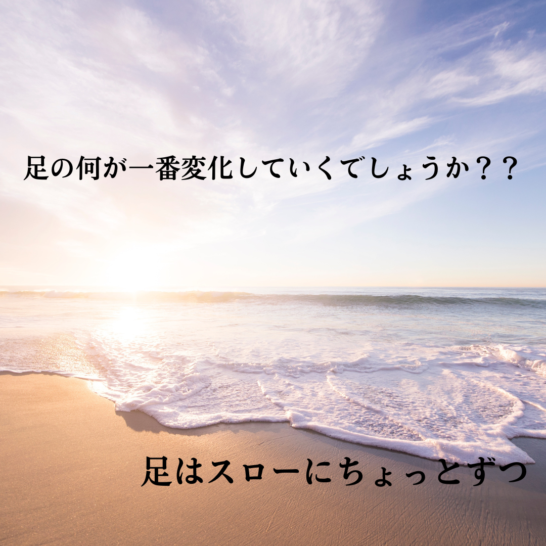 1163202309210921200.png