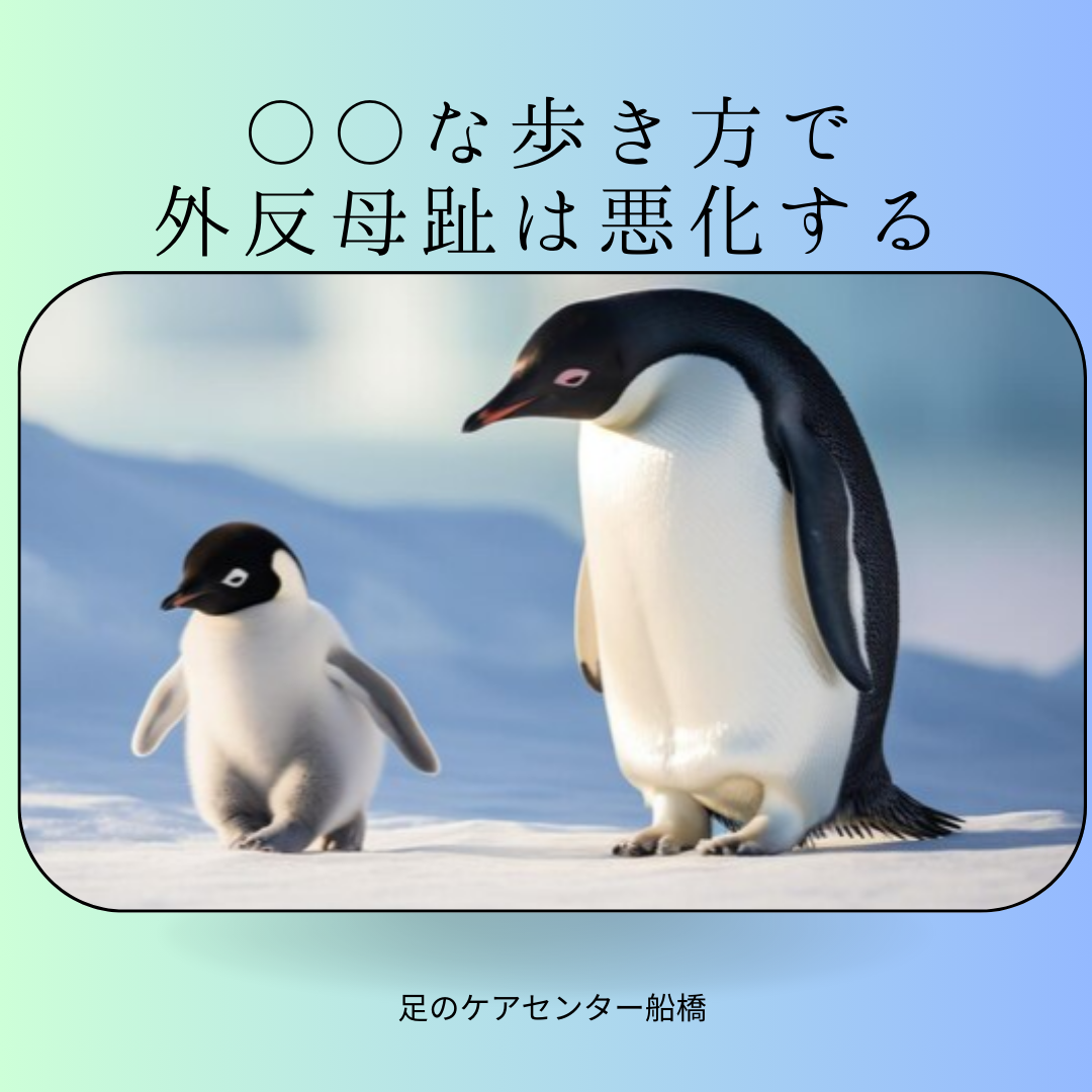 1163202312191144270.png