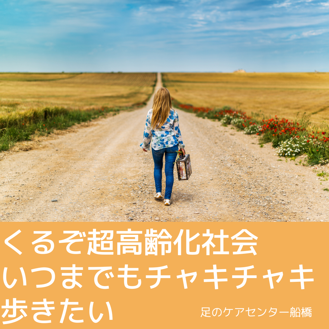 1163202402161201590.png