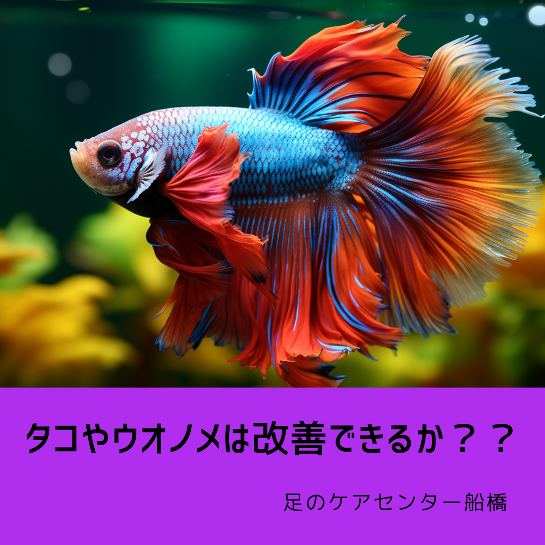 1163202403120942120.png