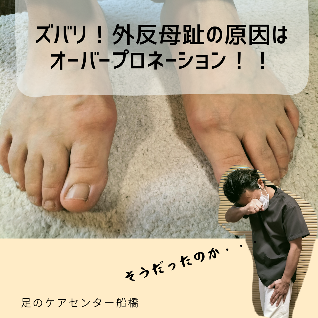 1163202403220951340.png