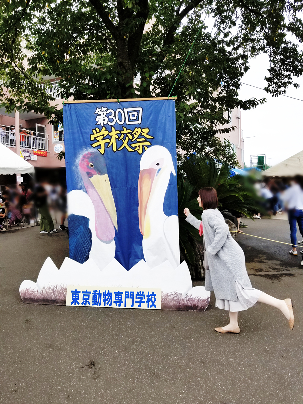 2201809251308270.jpg