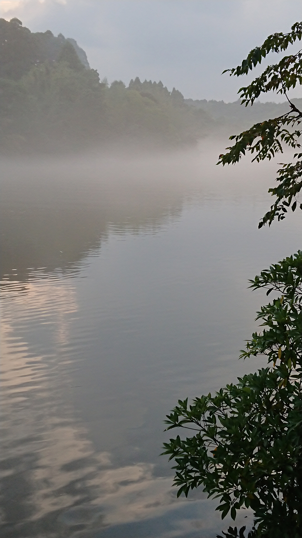 2201809281028460.JPG
