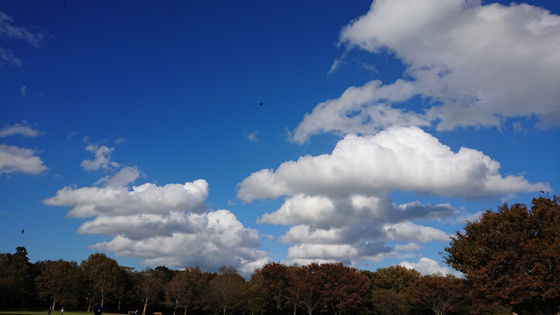 2201810121009210.JPG