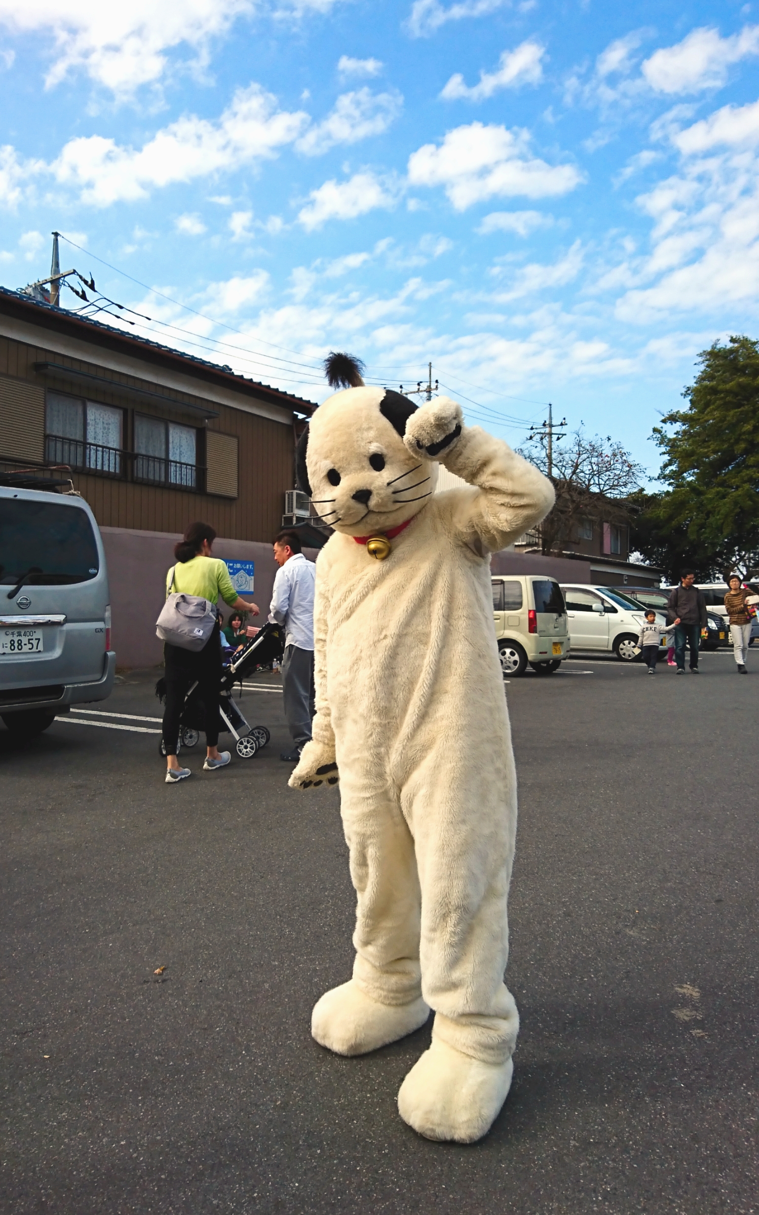 2201811161109580.jpg