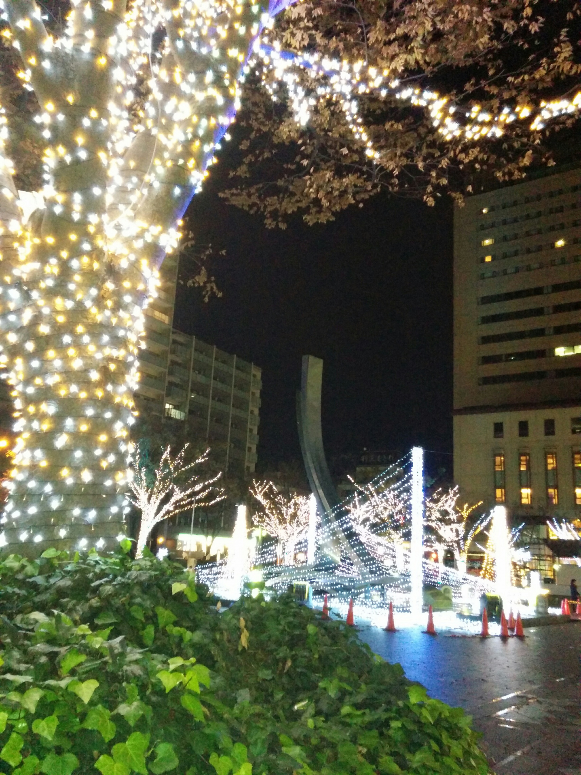 2201812061833590.jpg