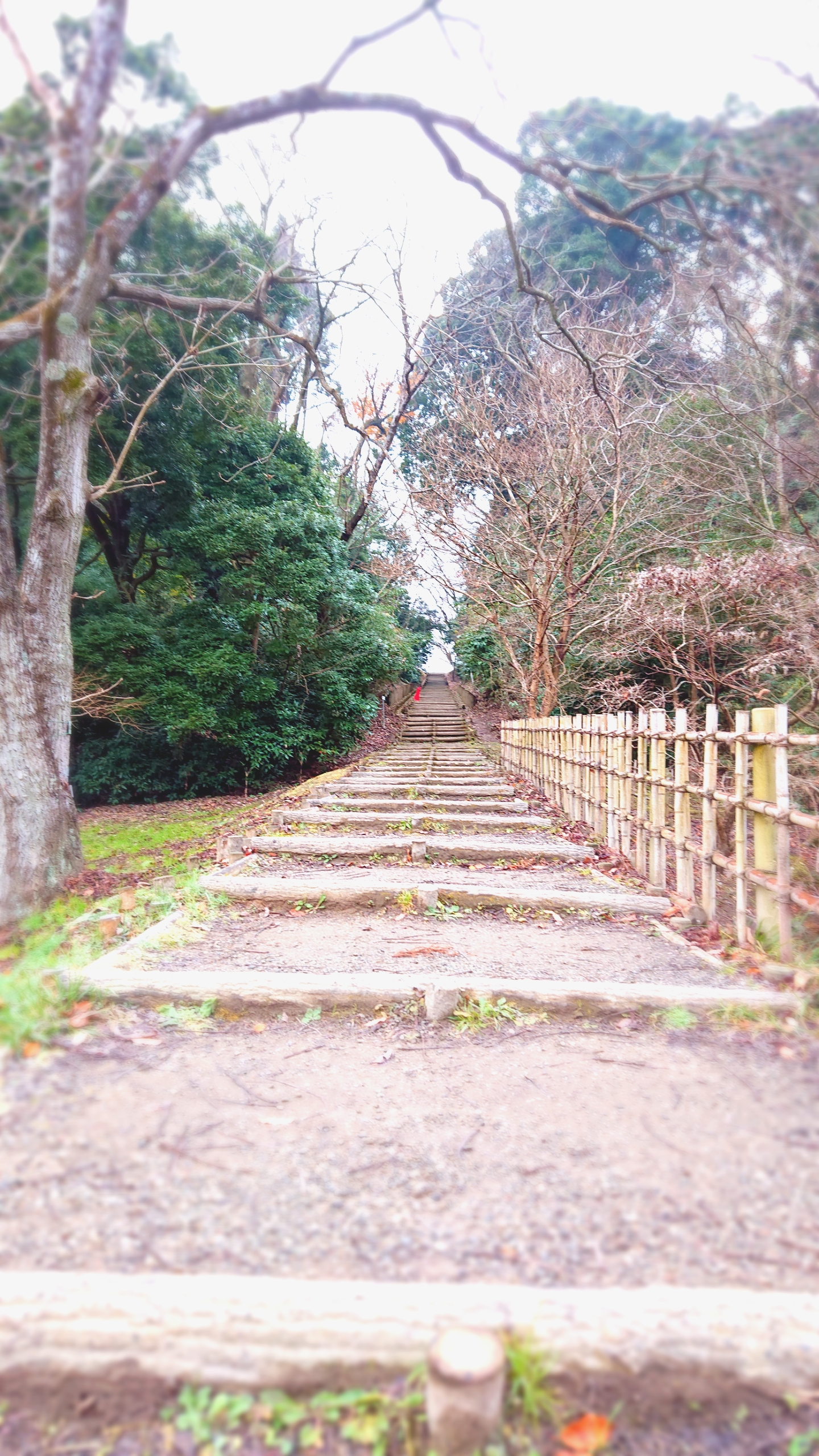 2201812280935250.jpg