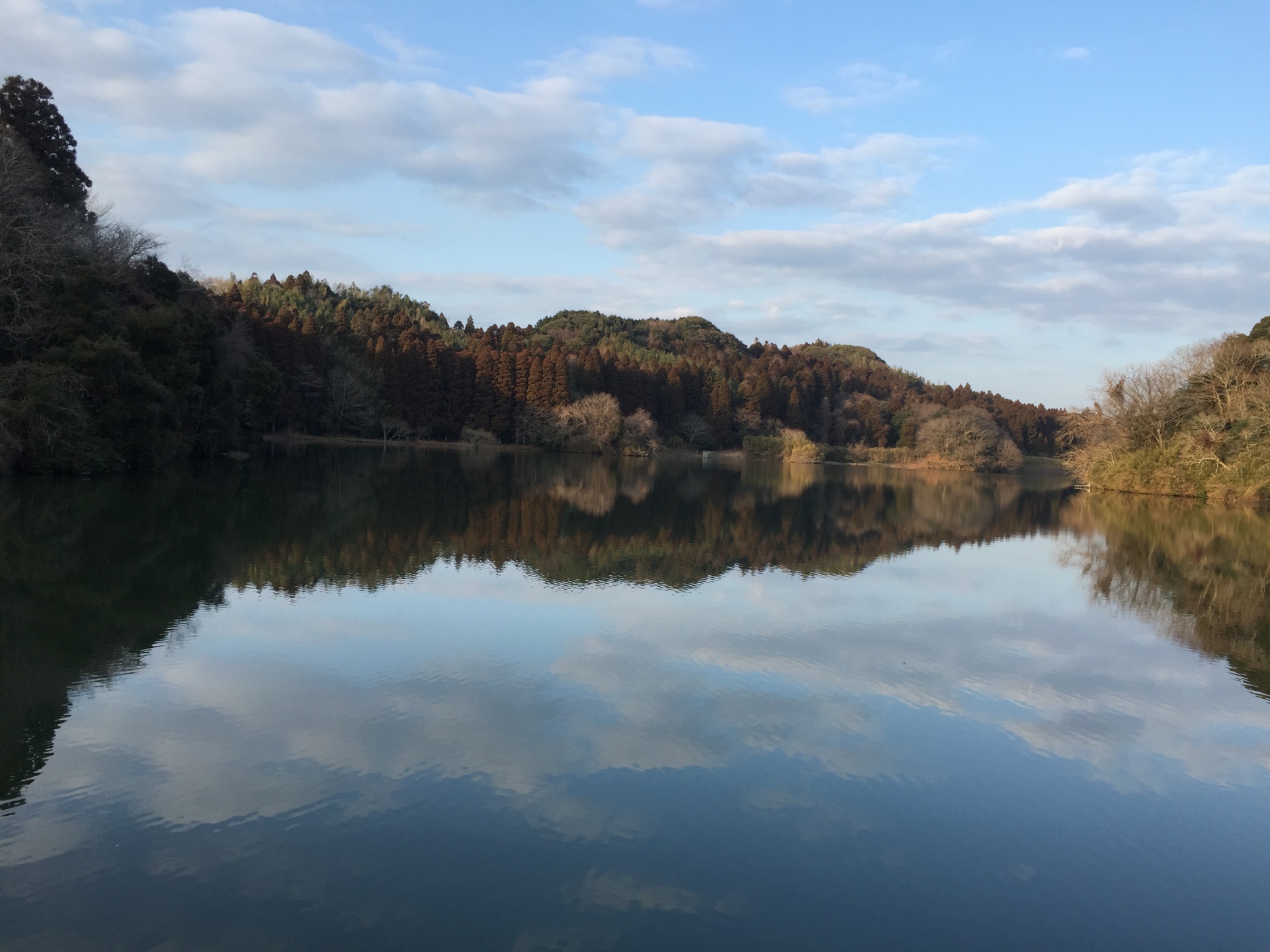 2201901101722210.jpg