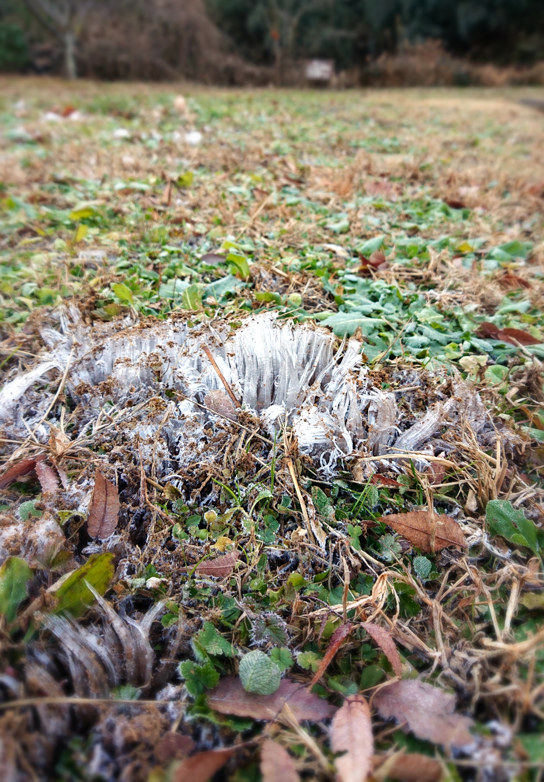 2201902061839360.jpg