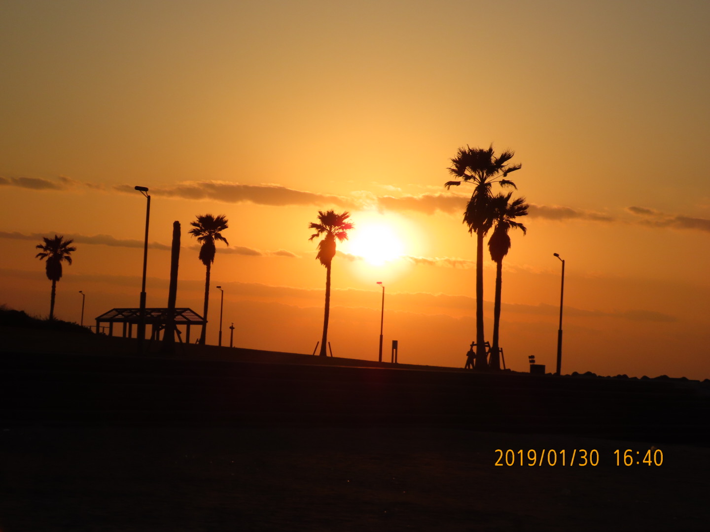 2201902061841250.jpg