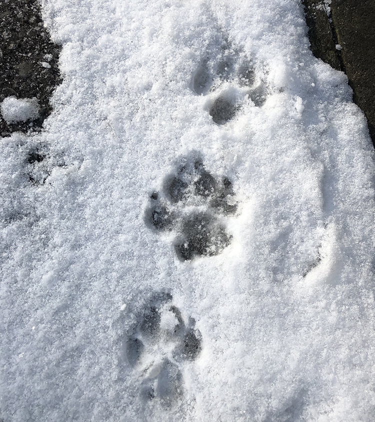 2201902221035300.jpg