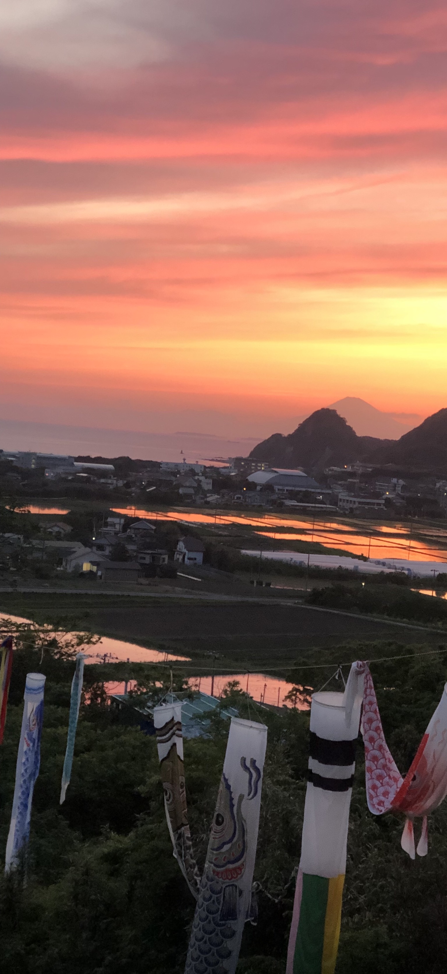 2201905301042410.jpg