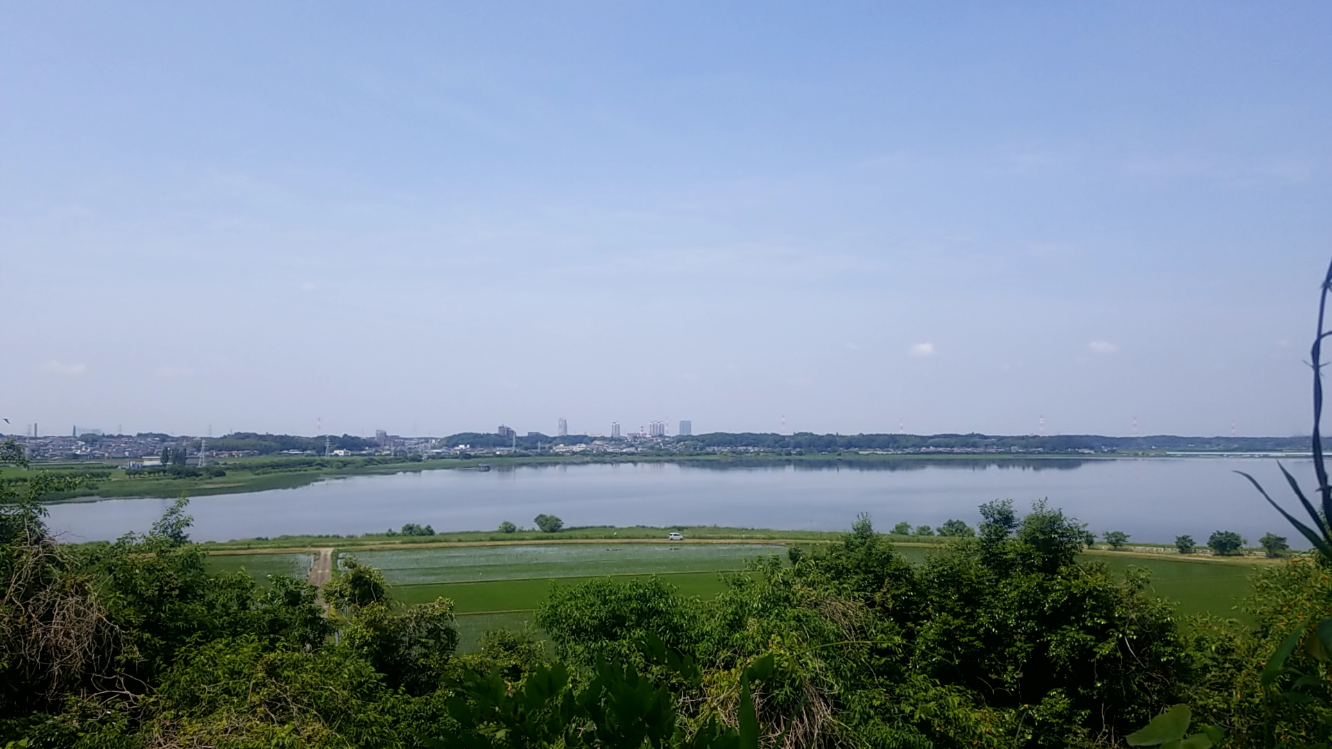 2201906211055310.jpg