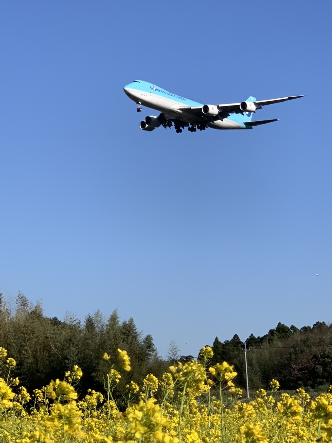 284202003241155110.jpg