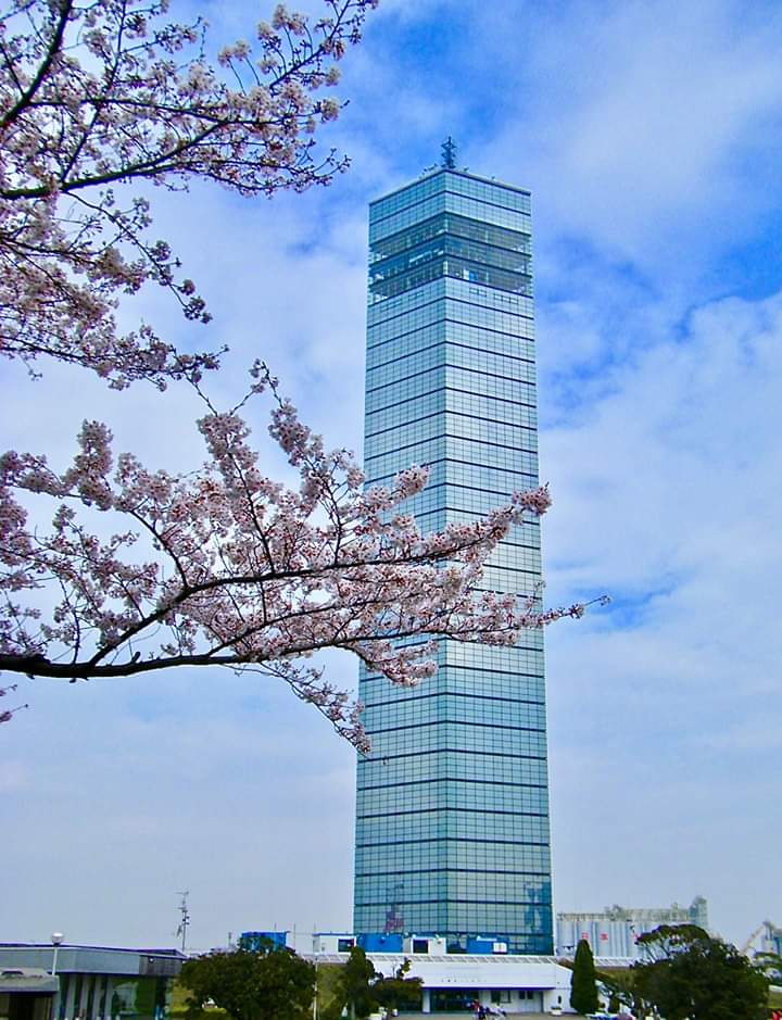 284202004030916250.jpg