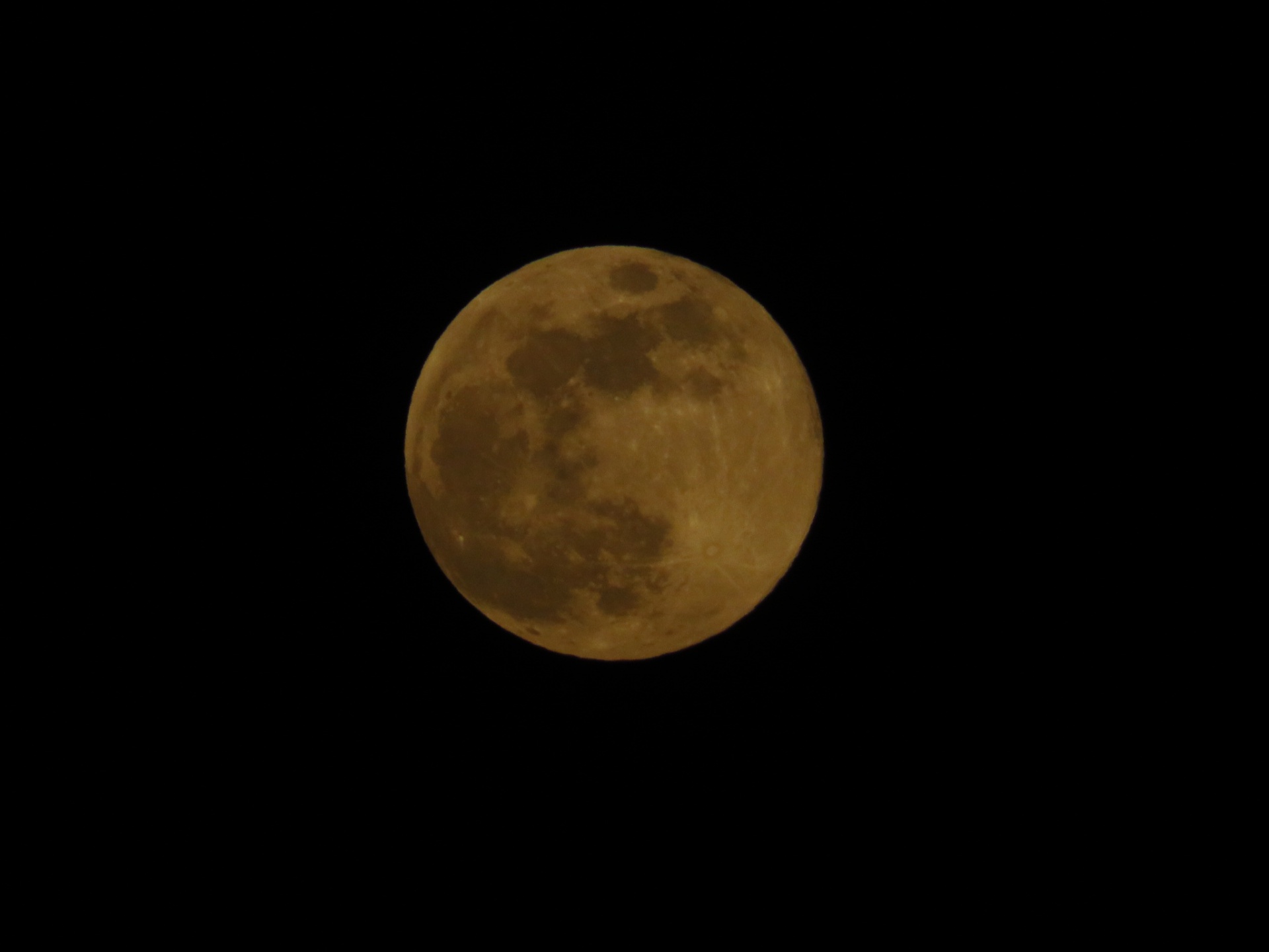 284202005080933380.jpg