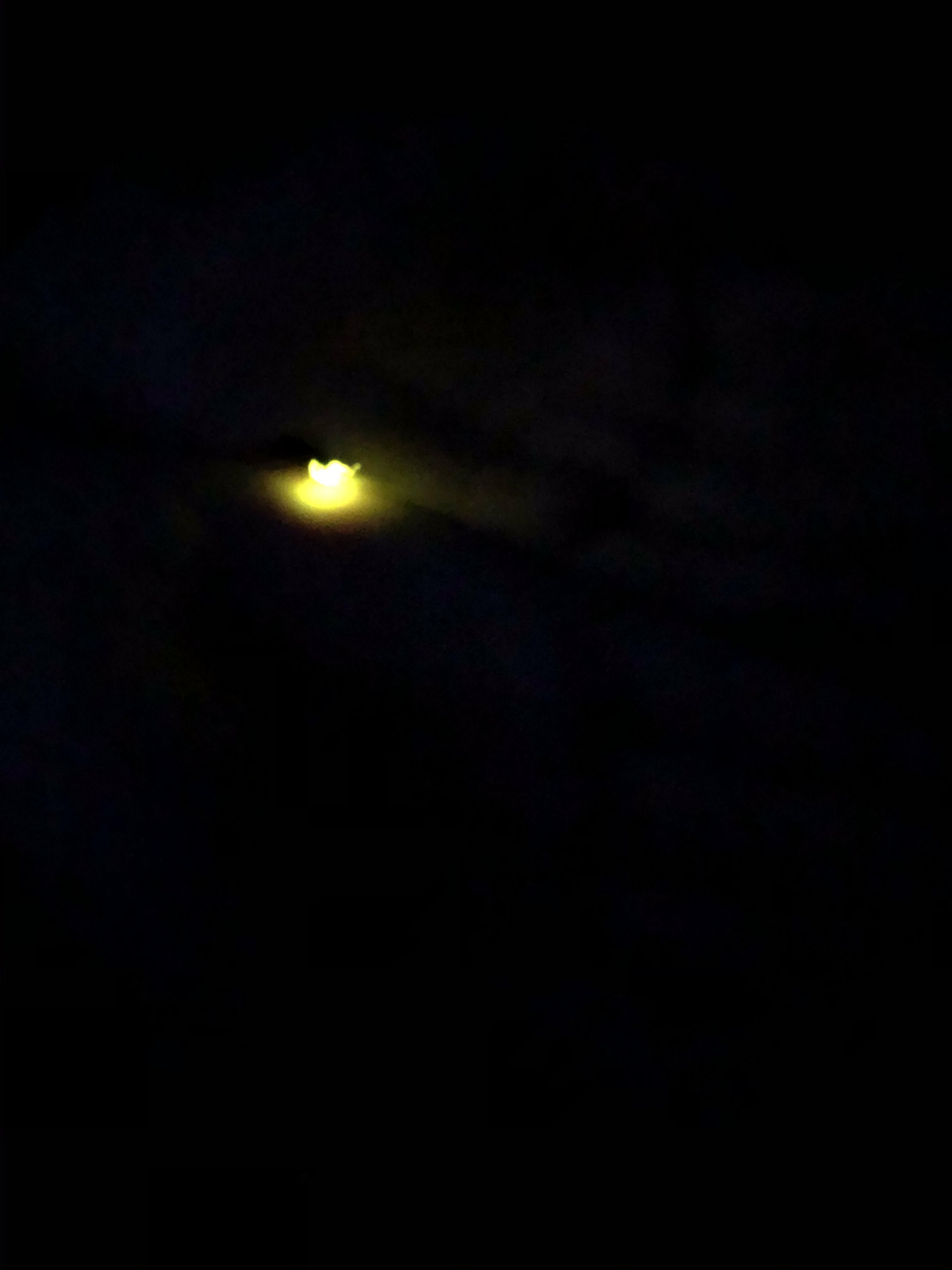 284202006041117300.jpg