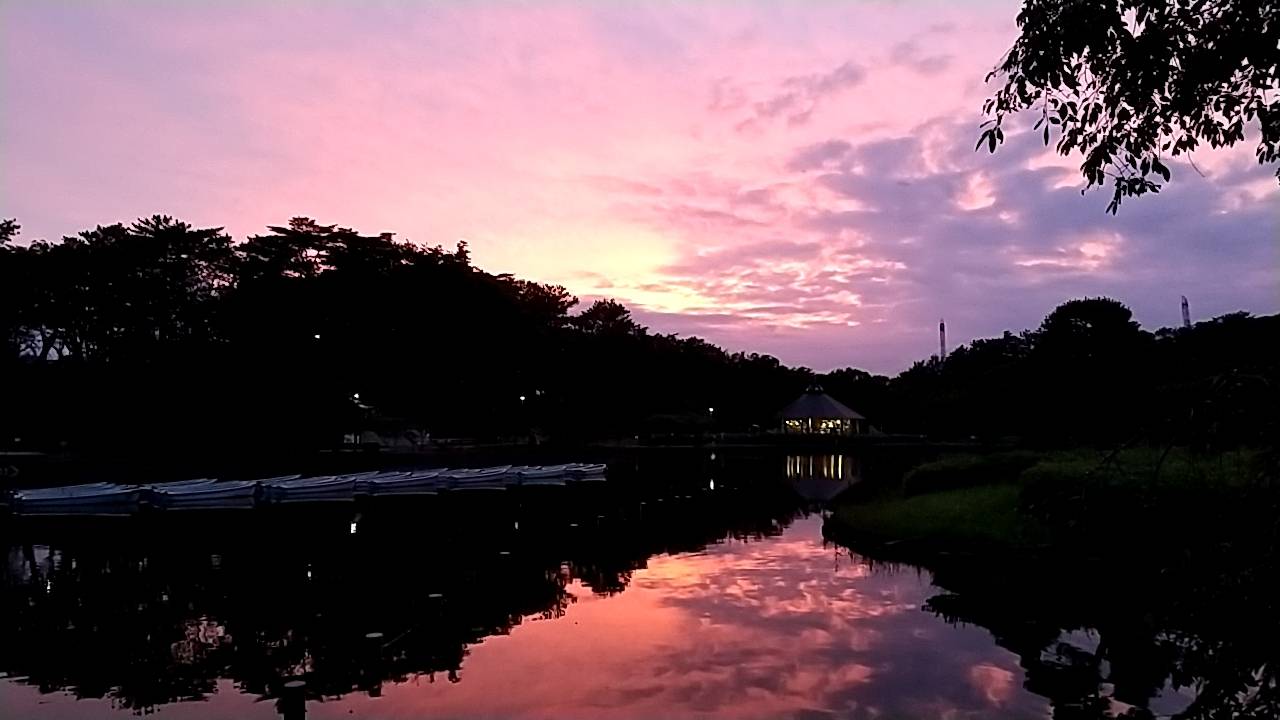 284202006221645460.jpg