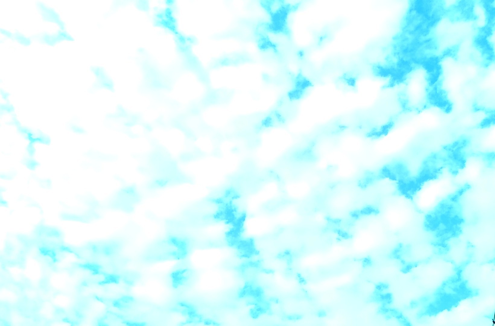 284202010081850140.jpg