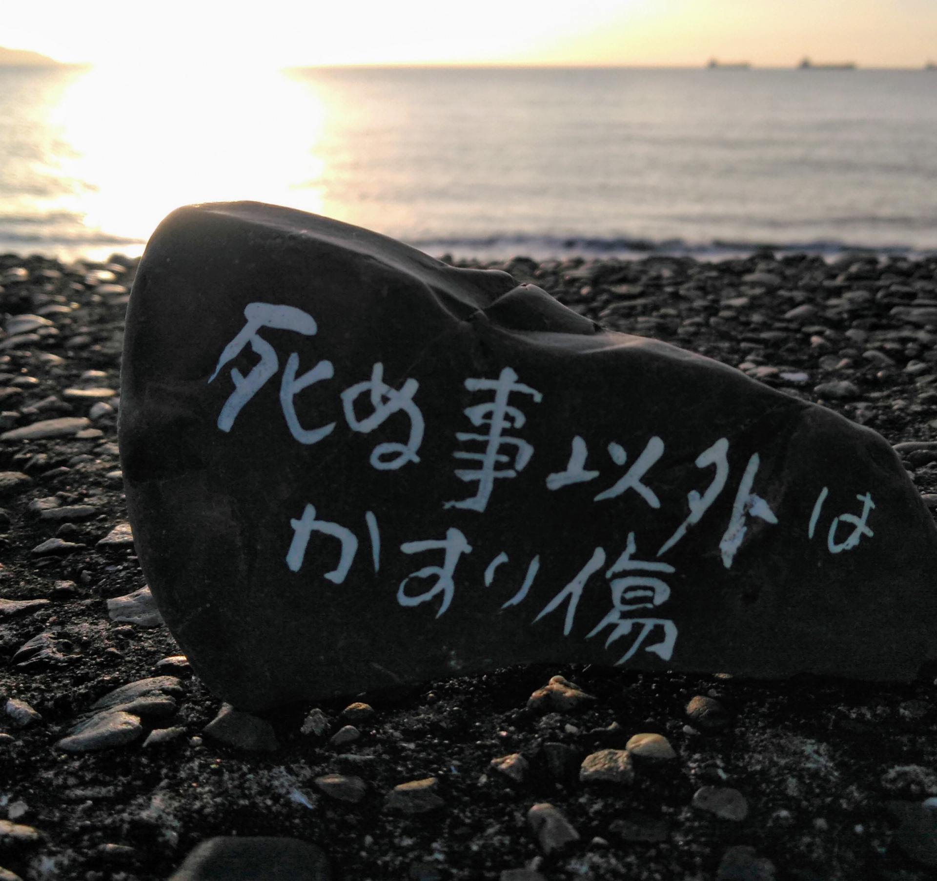 284202010211229200.jpg