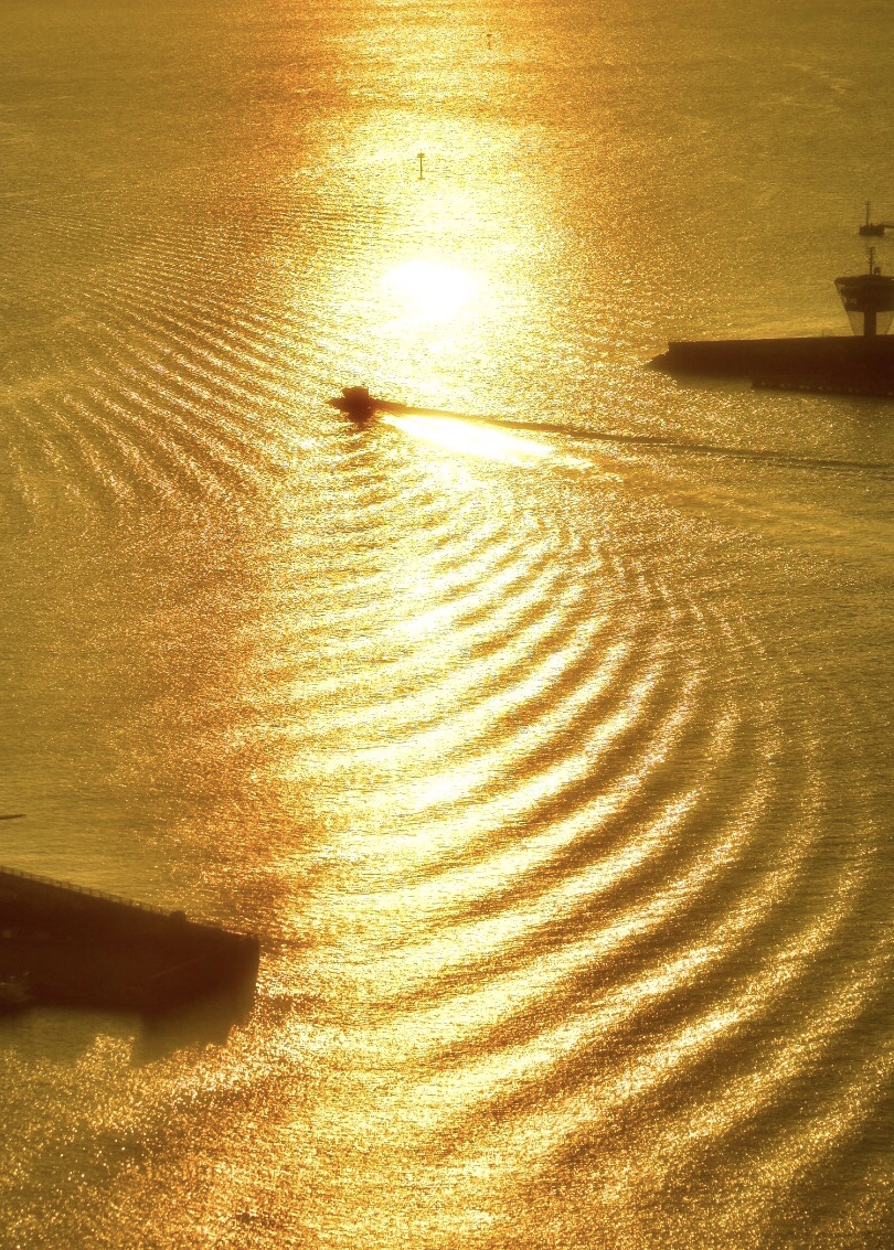 284202010281526190.jpg