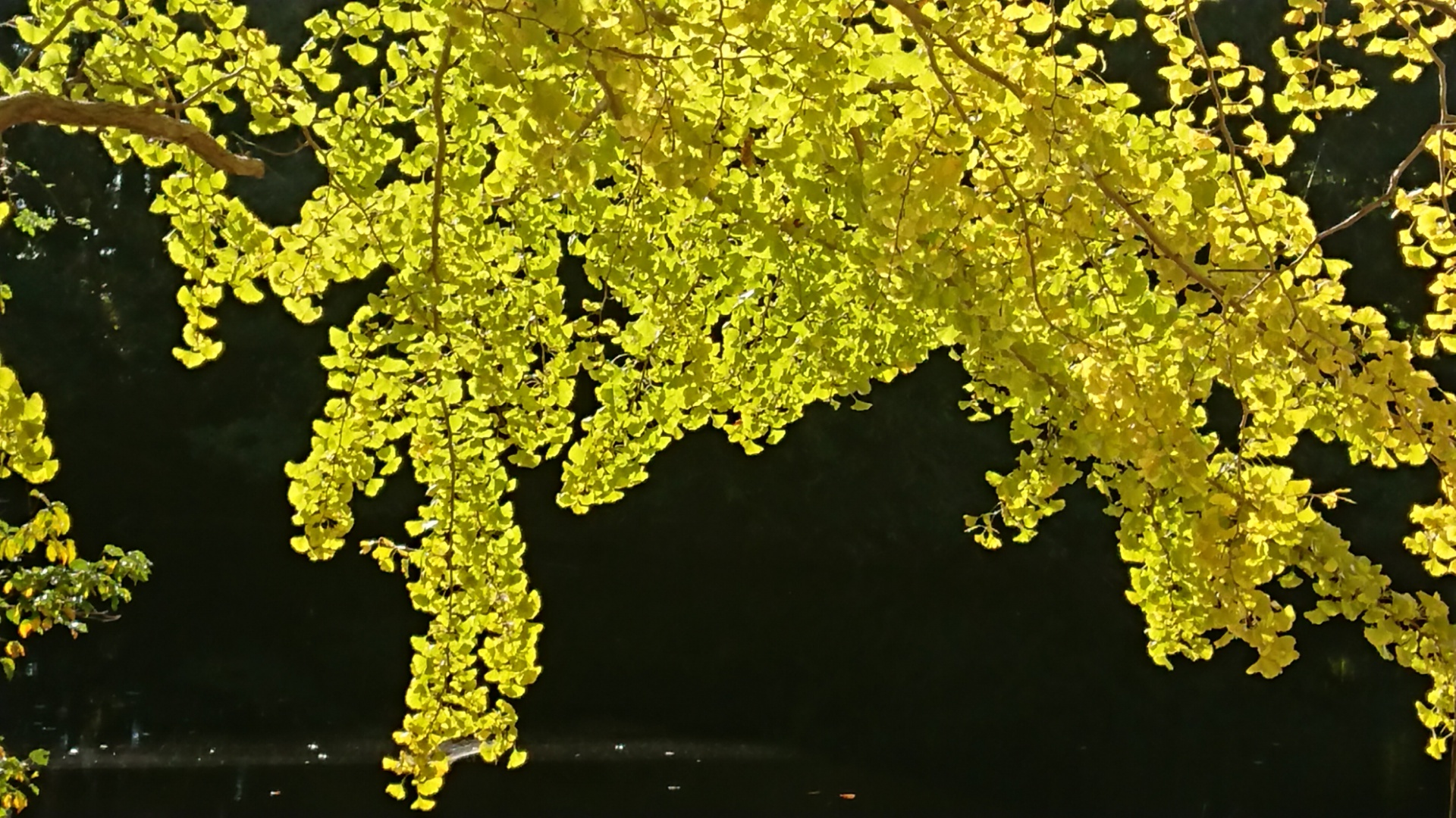 284202011182137290.jpg