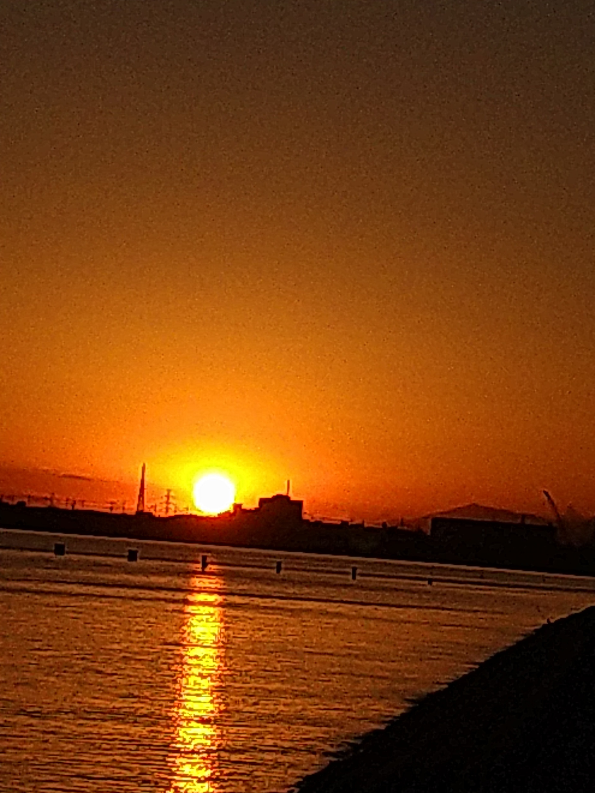 284202011241723140.jpg