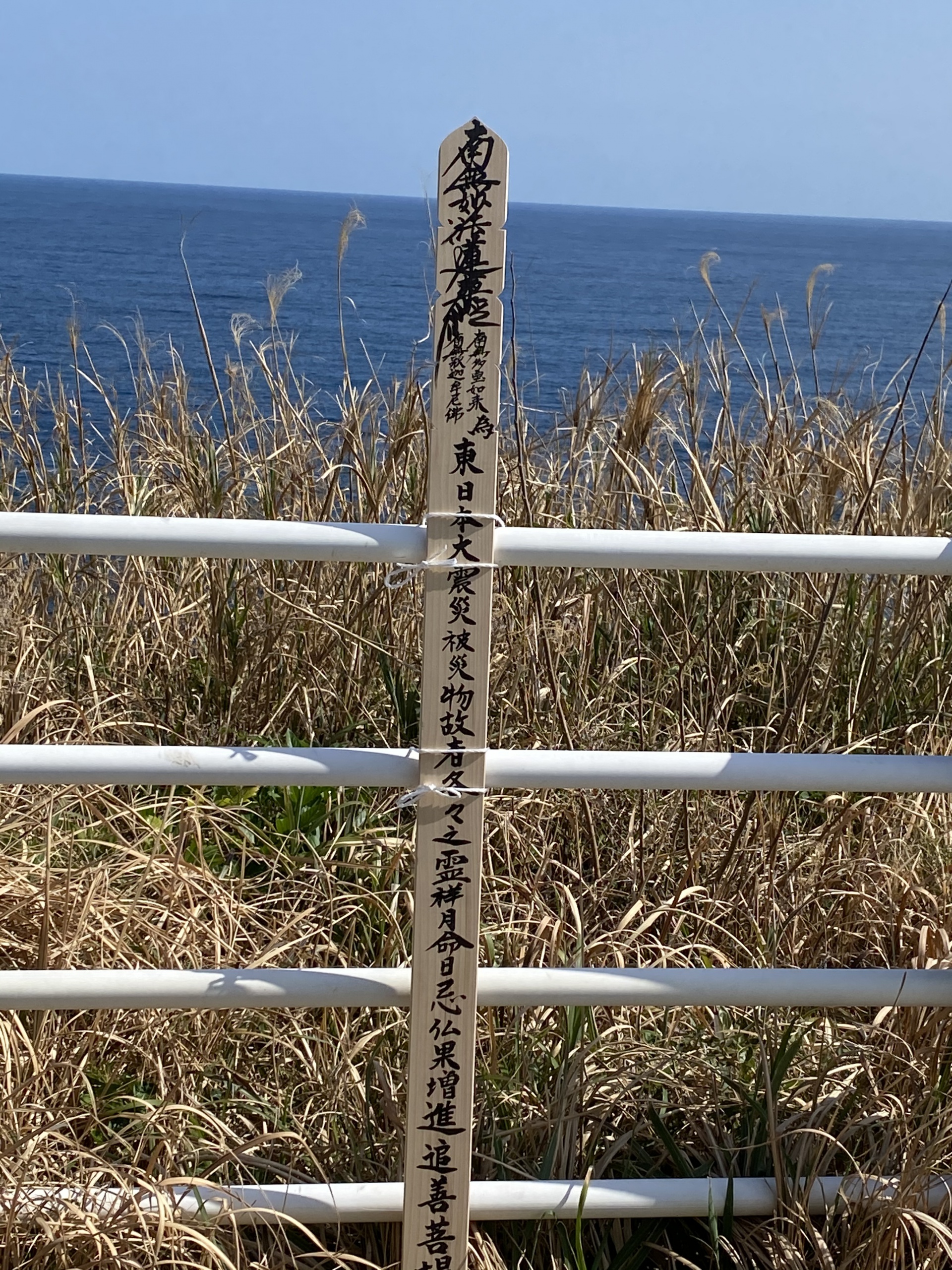 284202103161938220.jpg