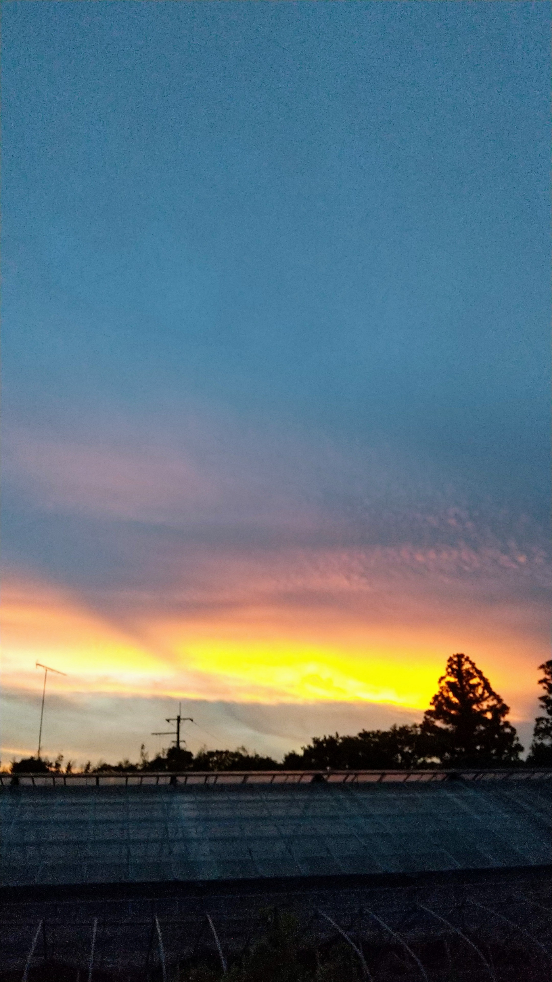 284202107211912510.jpg