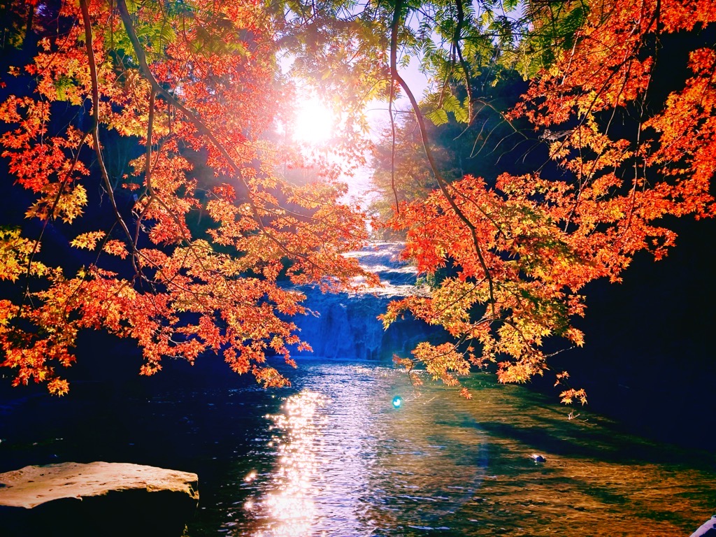 284202201161611290.jpg
