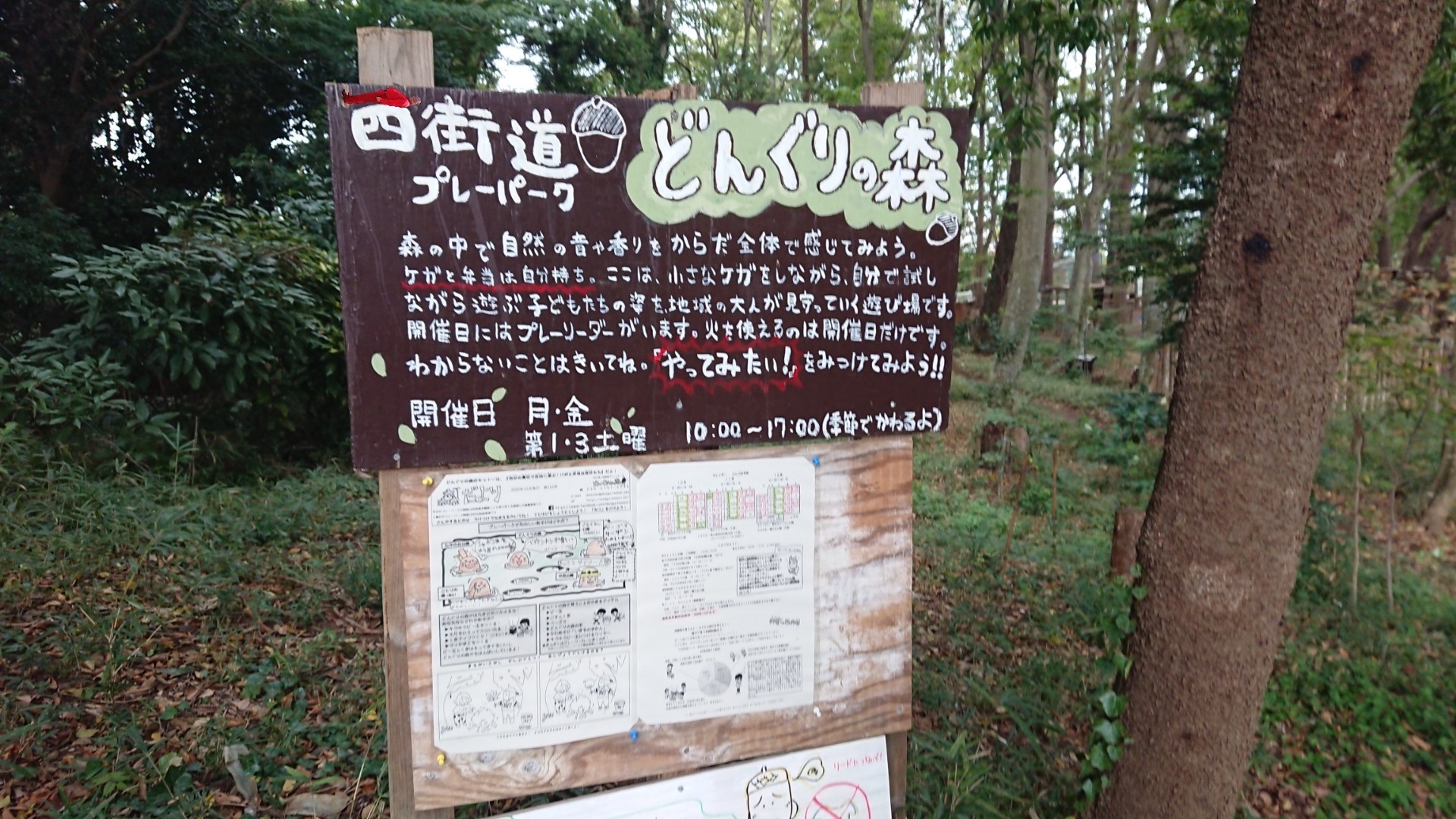 34202011241545590.jpg