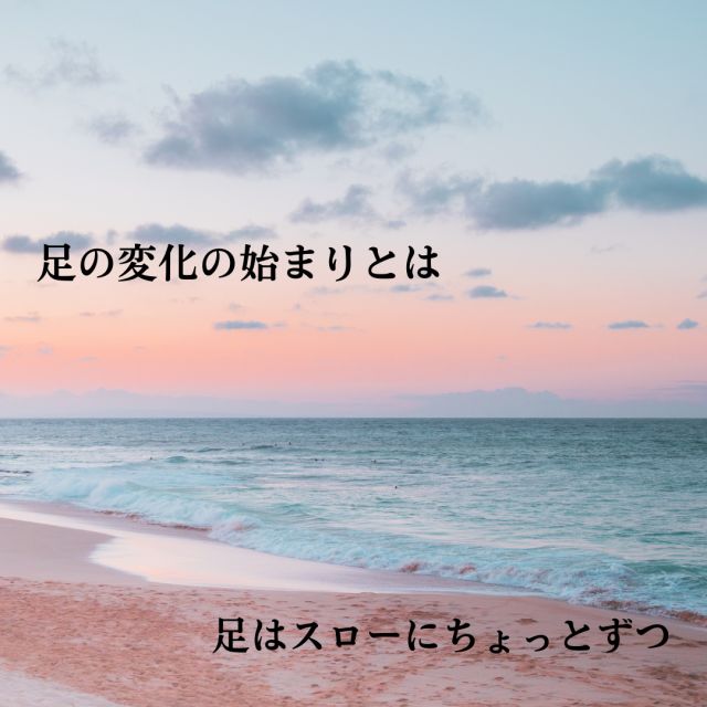 1163202309191023460.png