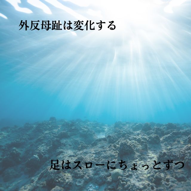 1163202309200741500.png