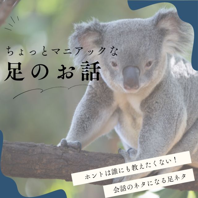 1163202310031035340.png