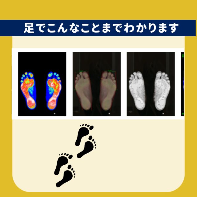 1163202310120836180.png
