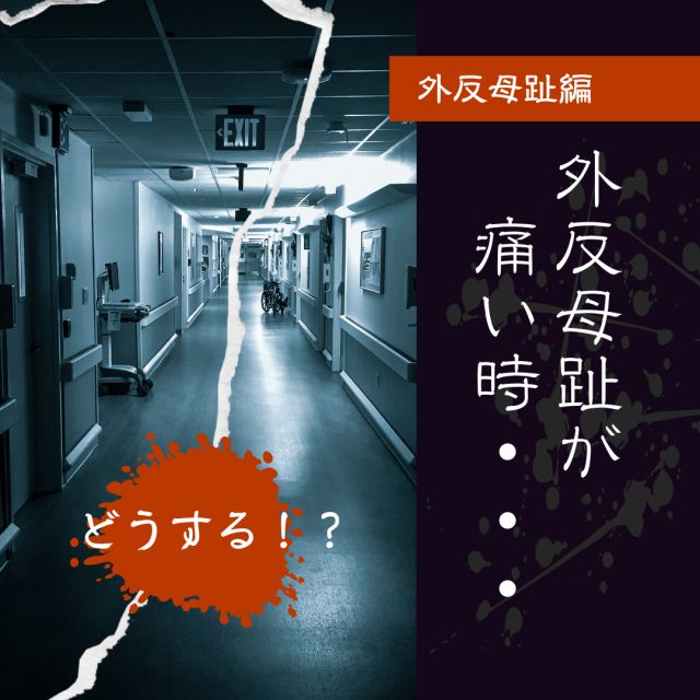 1163202310170659490.png