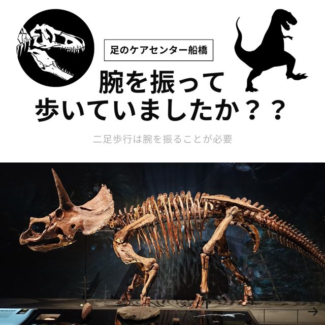 1163202312041022520.png