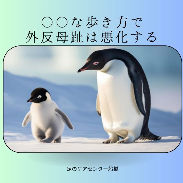 1163202312191144270.png
