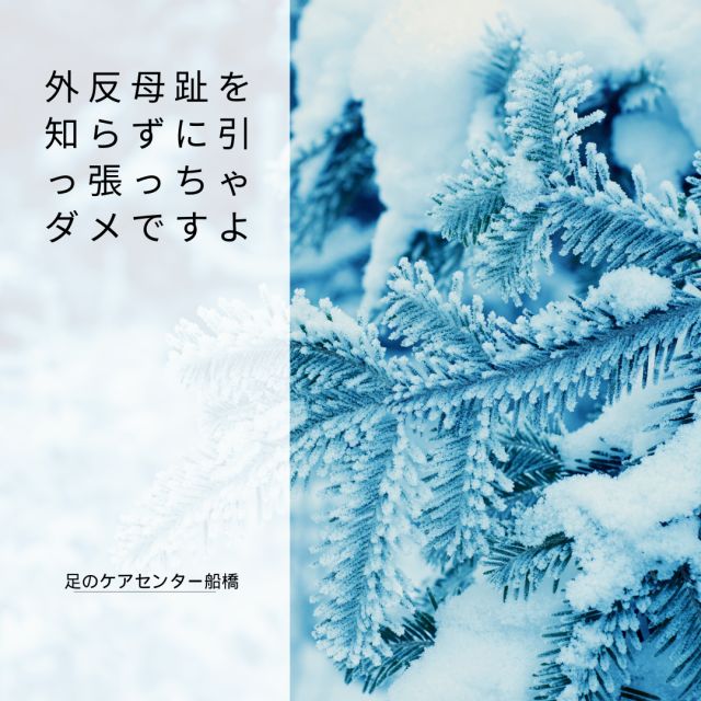 1163202312220940430.png