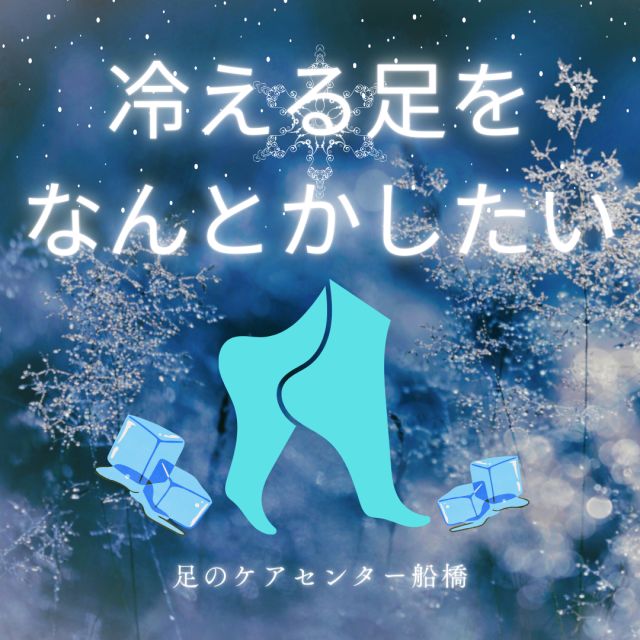 1163202312260759240.png