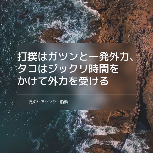 1163202401241004580.png