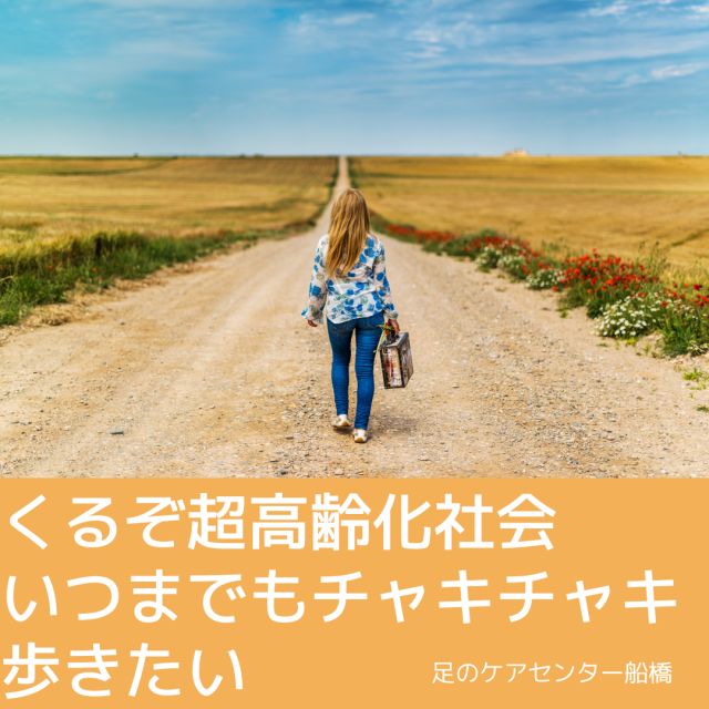1163202402161201590.png