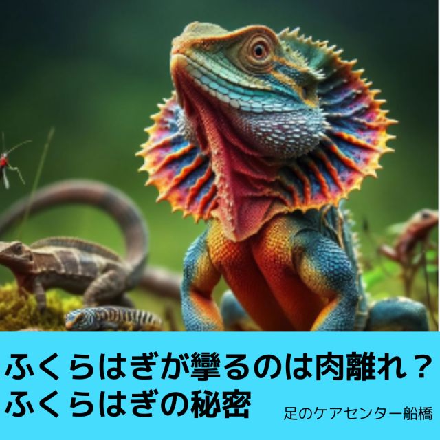 1163202402270905550.png