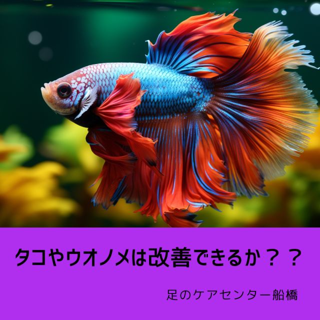 1163202403120942120.png