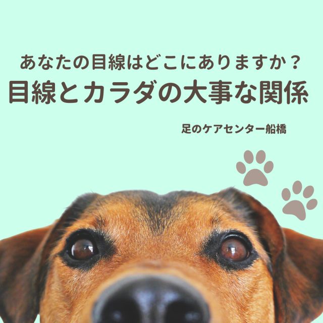 1163202404010717280.png