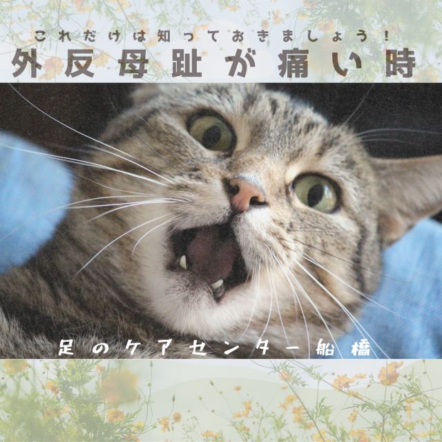 1163202405070730420.png